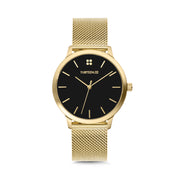 Gold Case / Black Dial